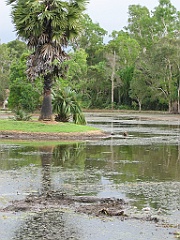 Cairns29 Centenary Lakes